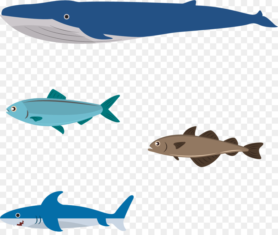 Flat design Illustration - Whale ocean png download - 1203*1001 - Free Transparent Flat Design png Download.