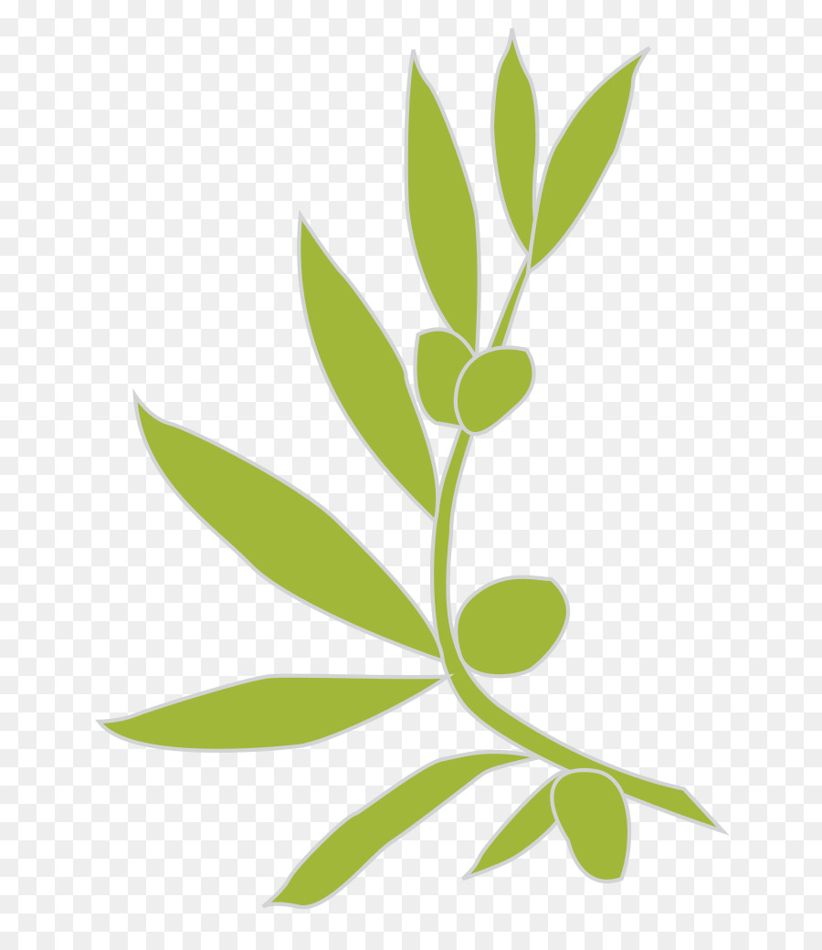 Logo Olive branch - olives png download - 724*1024 - Free Transparent Logo png Download.