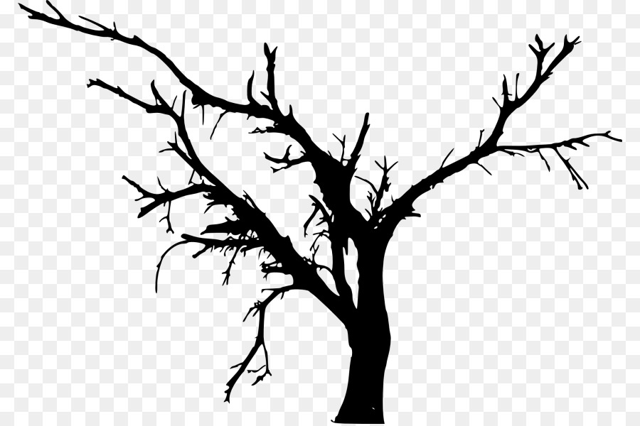 Branch Tree - tree png download - 850*597 - Free Transparent Branch png Download.