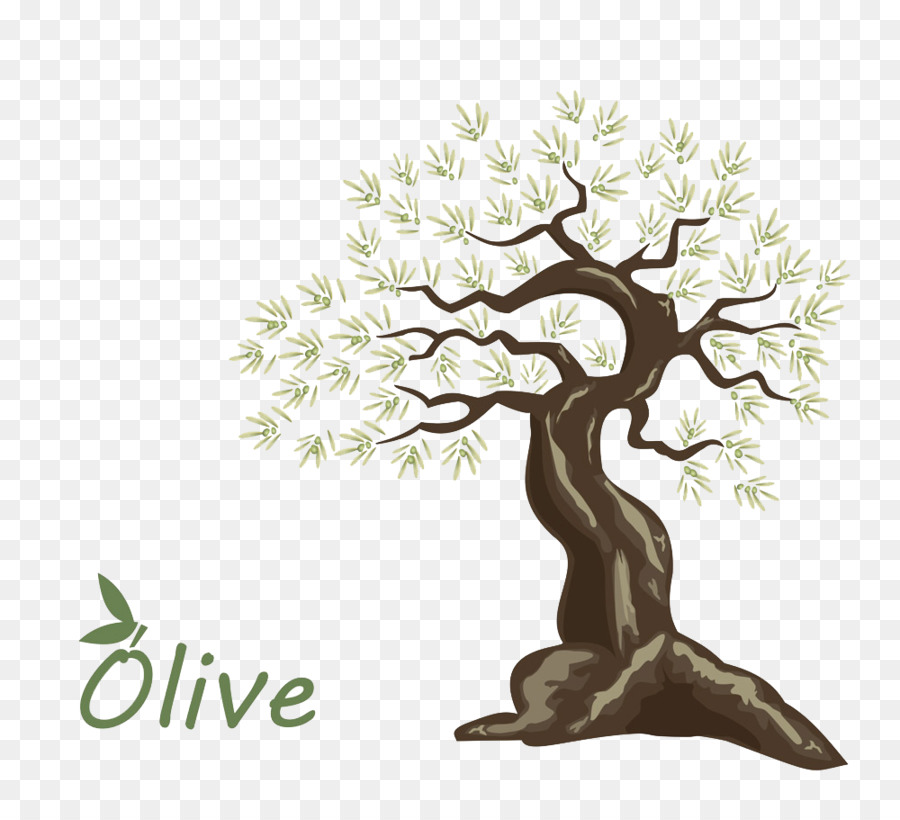 Olive oil Tree - Hand-painted olive png download - 1000*900 - Free Transparent Olive png Download.