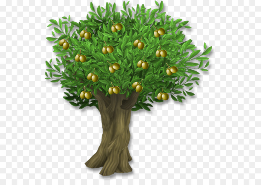 Olive leaf Tree Clip art - olive png download - 625*625 - Free Transparent Olive png Download.