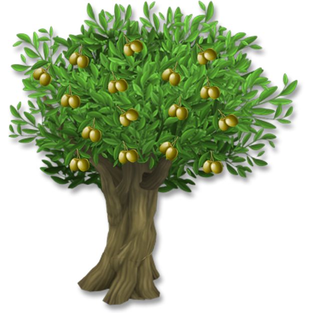 Olive leaf Tree Clip art - olive png download - 625*625 - Free