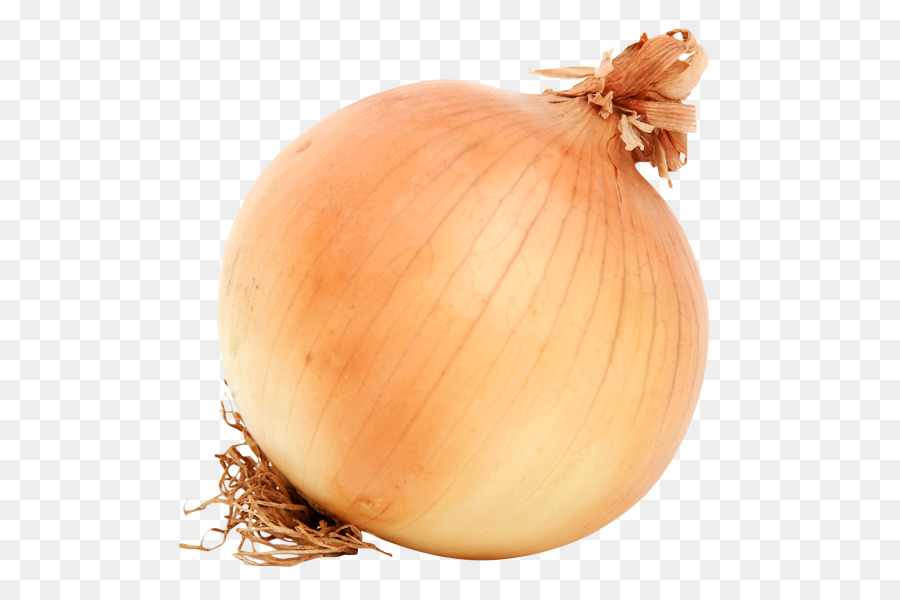 Yellow onion Vegetable Mandi - vegetable png download - 600*600 - Free Transparent Yellow Onion png Download.