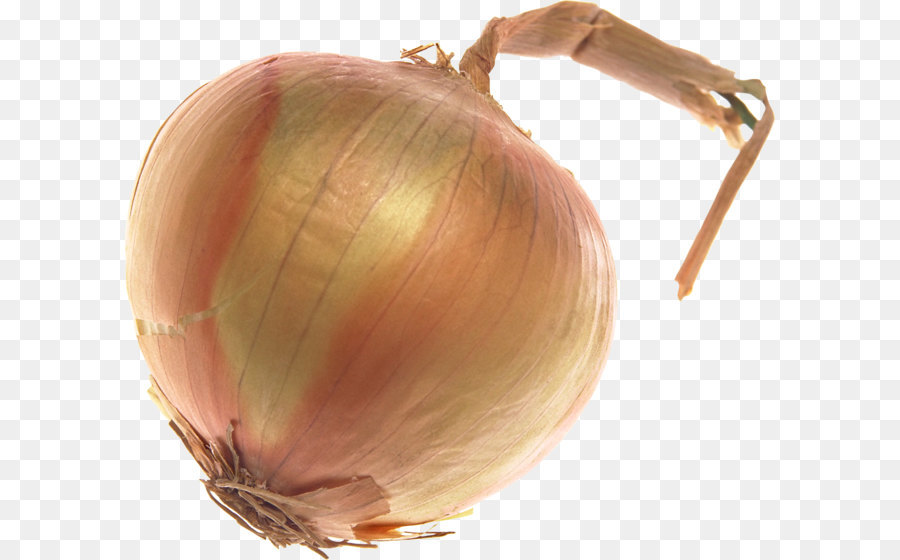 Yellow onion Shallot - Onion PNG image png download - 2287*1970 - Free Transparent Shallot png Download.