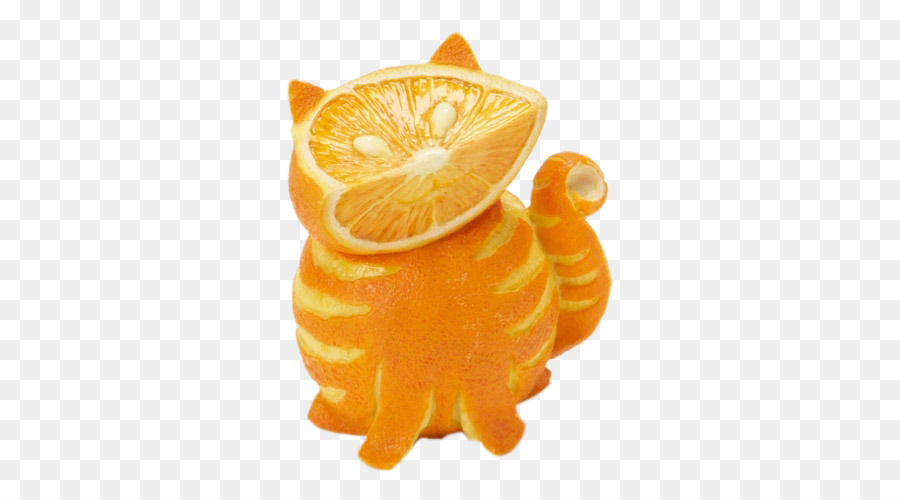 Cat Orange The arts Humour - Orange kitten png download - 500*500 - Free Transparent Cat png Download.
