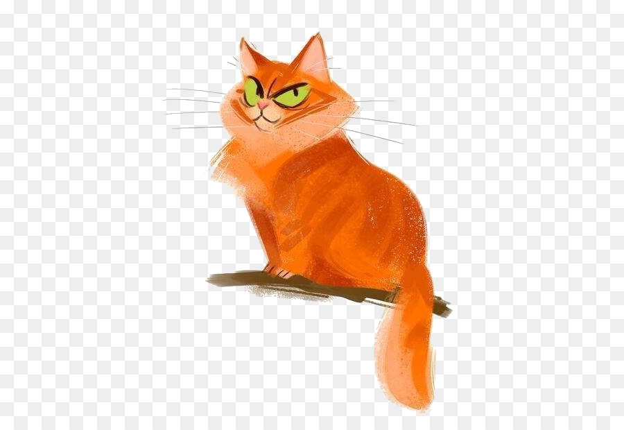 Sphynx cat Snowshoe cat Kitten Drawing Illustration - Cartoon orange kitten png download - 564*619 - Free Transparent Sphynx Cat png Download.