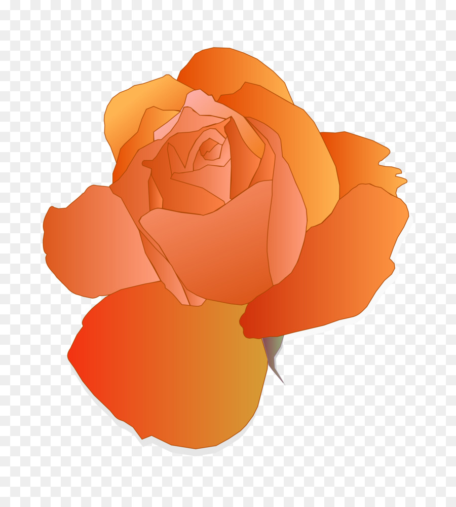 Blue rose Clip art - orange flower png download - 2175*2400 - Free Transparent Rose png Download.