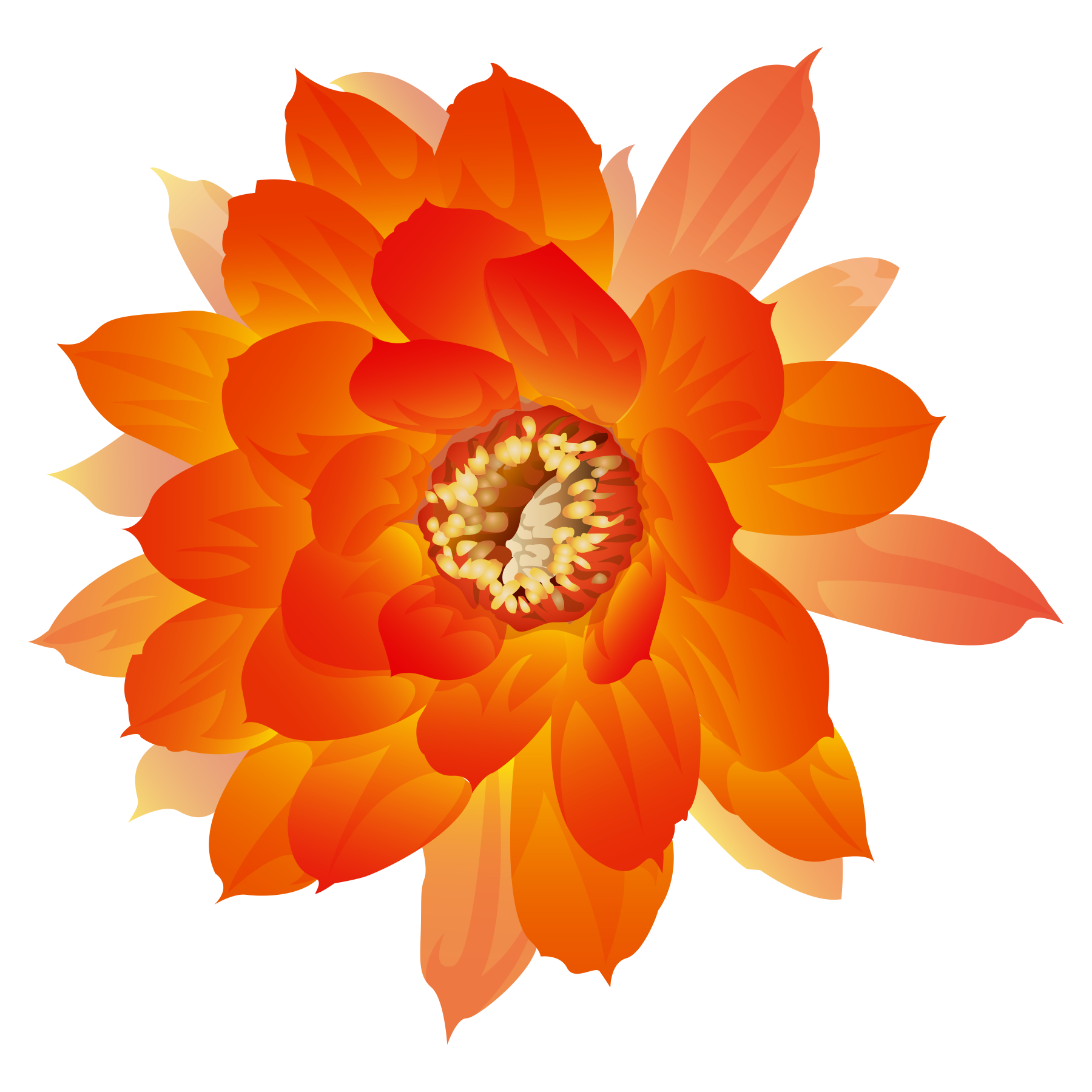 Download Png Orange Flowers | PNG & GIF BASE