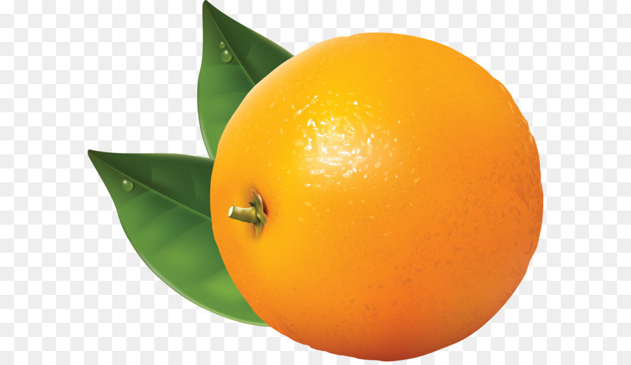 Orange Tangerine Clip art - Orange PNG image, free download png download - 3560*2818 - Free Transparent Mandarin Orange png Download.