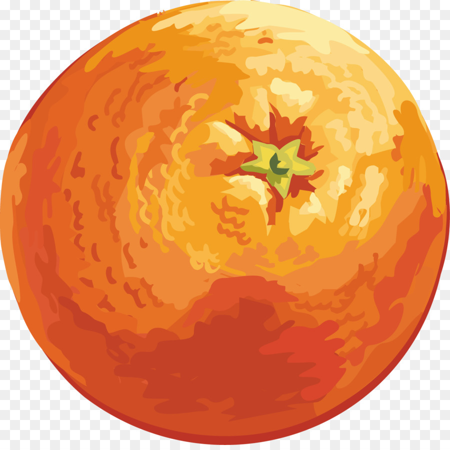 Mandarin orange Drawing Clip art - orange png download - 1413*1398 - Free Transparent Orange png Download.