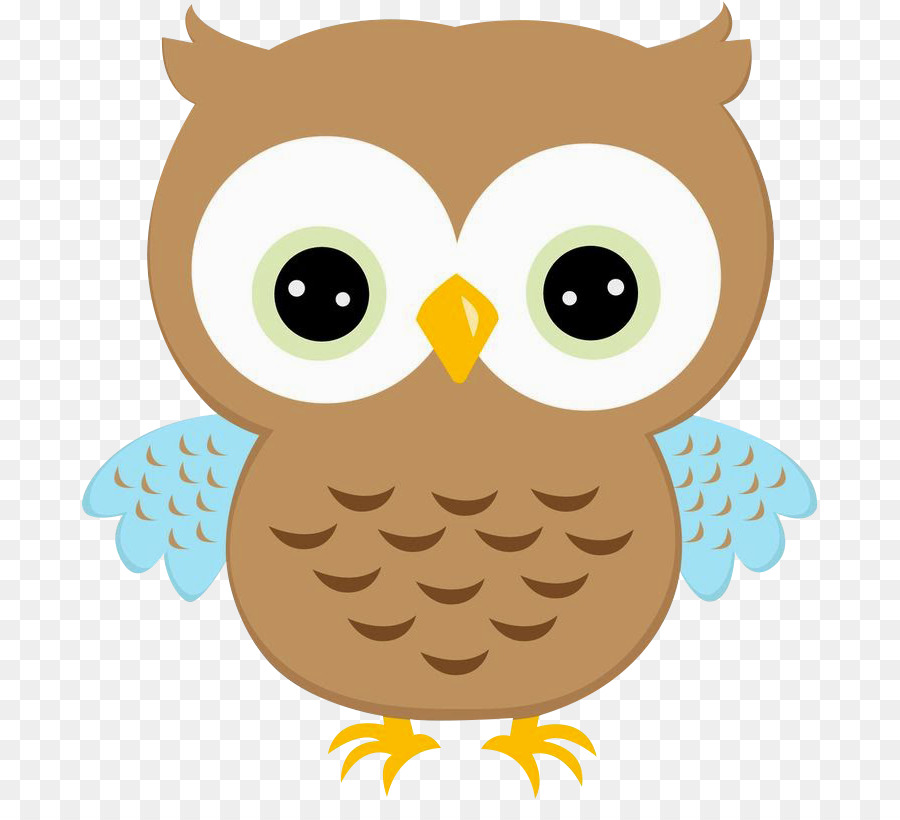 Owl Drawing Clip art - owl clipart png download - 736*801 - Free Transparent Owl png Download.