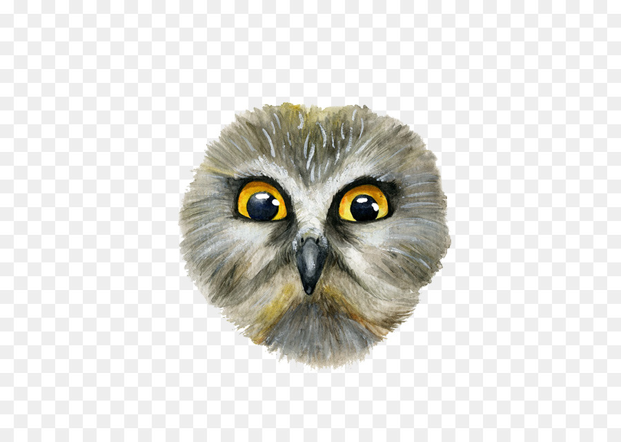 Snowy owl Eurasian eagle-owl Eurasian scops owl - Owl Face png download - 600*621 - Free Transparent Owl png Download.