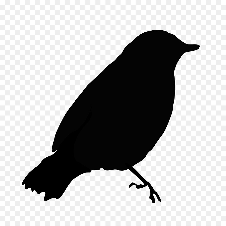 Bird European robin Drawing Clip art - Blackbird Cliparts png download - 900*900 - Free Transparent Bird png Download.