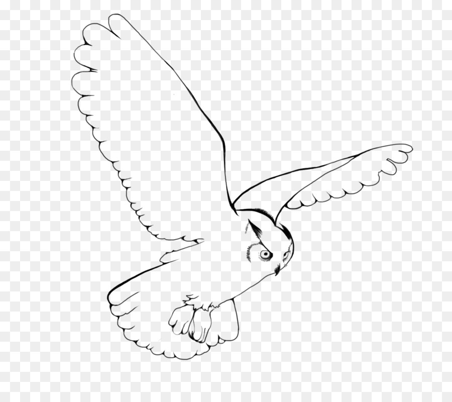 Snowy owl Bird Drawing Clip art - flying owl png download - 1246*1080 - Free Transparent  png Download.