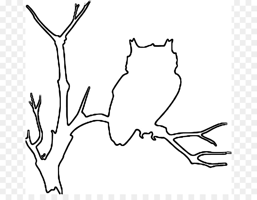 Owl Bird Outline Drawing Clip art - Owl Outline png download - 722*681 - Free Transparent  png Download.