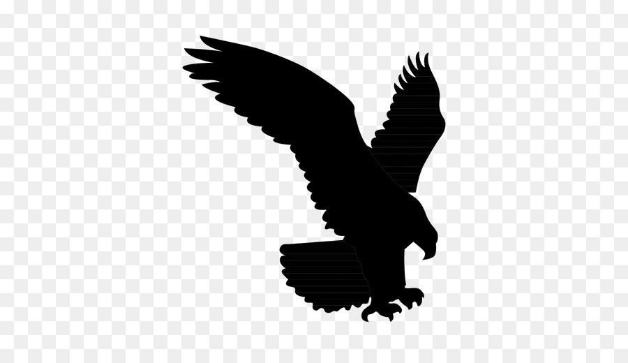 Bald eagle Silhouette Owl Vector graphics -  png download - 512*512 - Free Transparent Bald Eagle png Download.