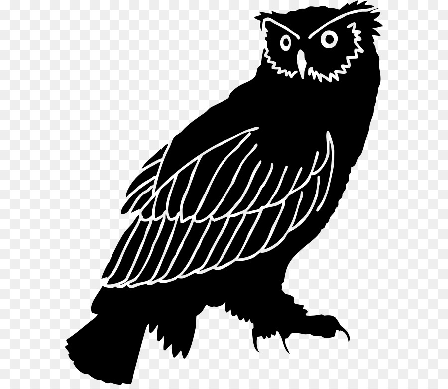Owl Silhouette Drawing Clip art - owls clipart png download - 640*772 - Free Transparent Owl png Download.