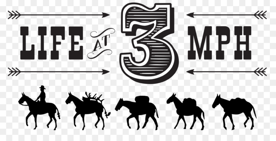 Estes Park Mule Mustang Logo Clip art - mustang png download - 1024*503 - Free Transparent Estes Park png Download.