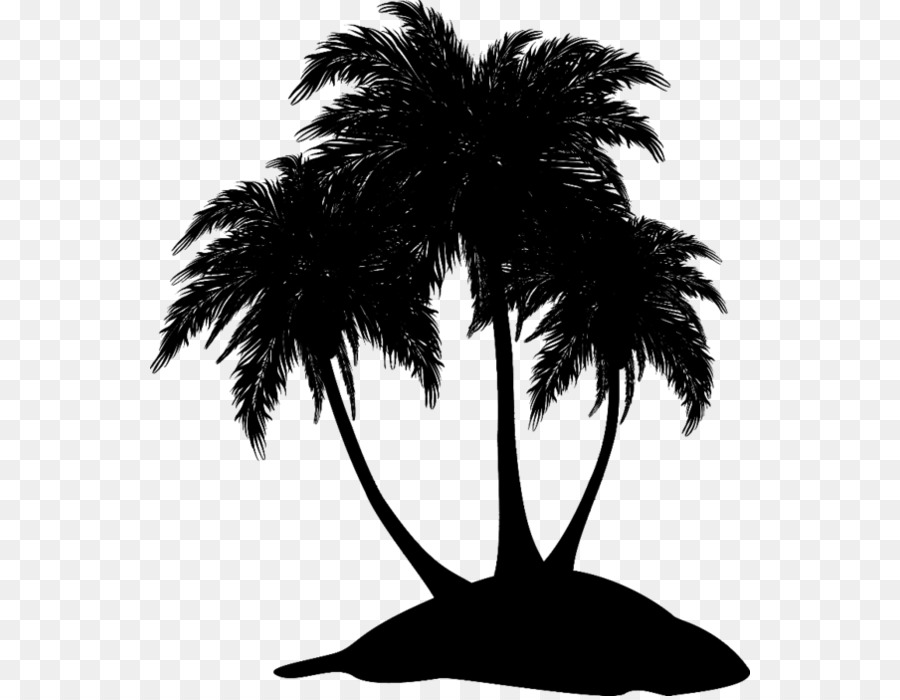 Asian palmyra palm Black & White - M Date palm Leaf Silhouette -  png download - 600*696 - Free Transparent Asian Palmyra Palm png Download.