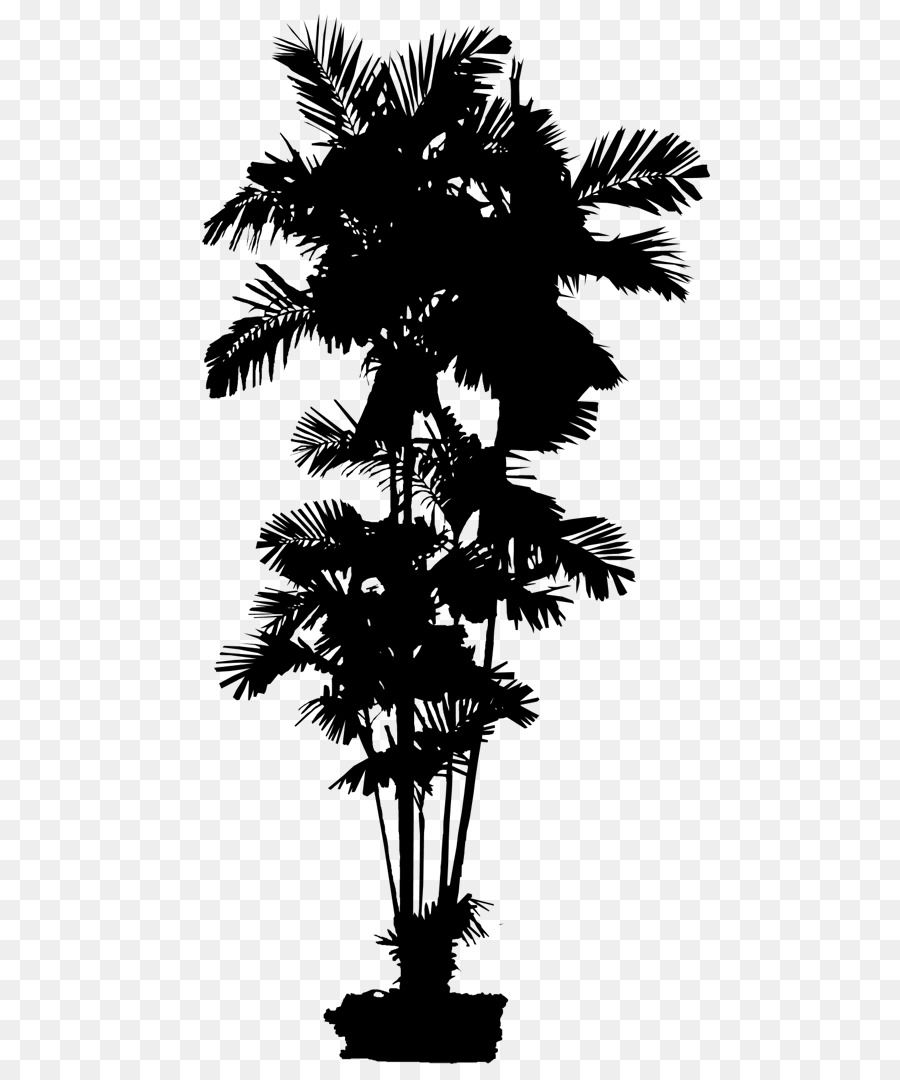 Asian palmyra palm Date palm Leaf Palm trees Silhouette -  png download - 547*1070 - Free Transparent Asian Palmyra Palm png Download.