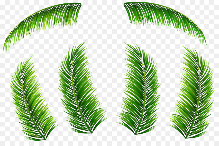 Palm branch Leaf Arecaceae Clip art - palm leaves png download - 8000*5222 - Free Transparent Palm Branch png Download.