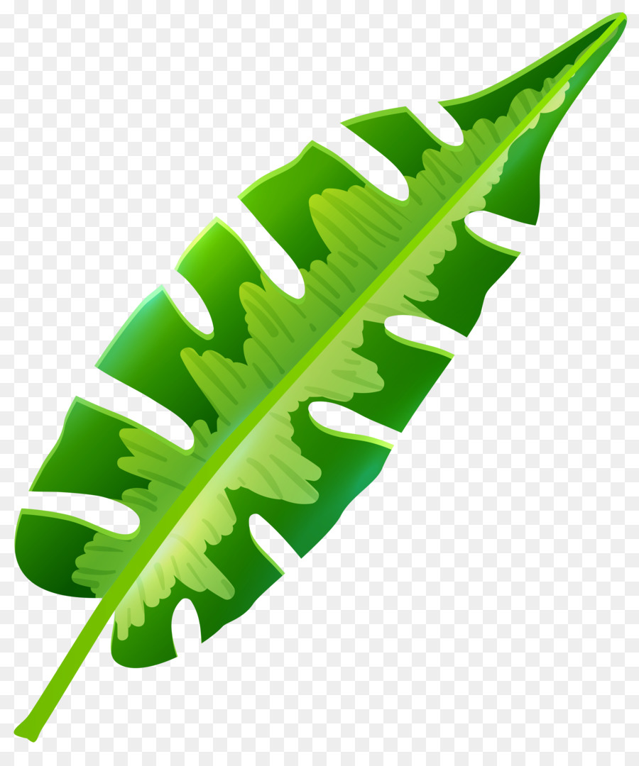 Leaf Tropics Arecaceae Clip art - palm leaves png download - 6775*8000 - Free Transparent Leaf png Download.
