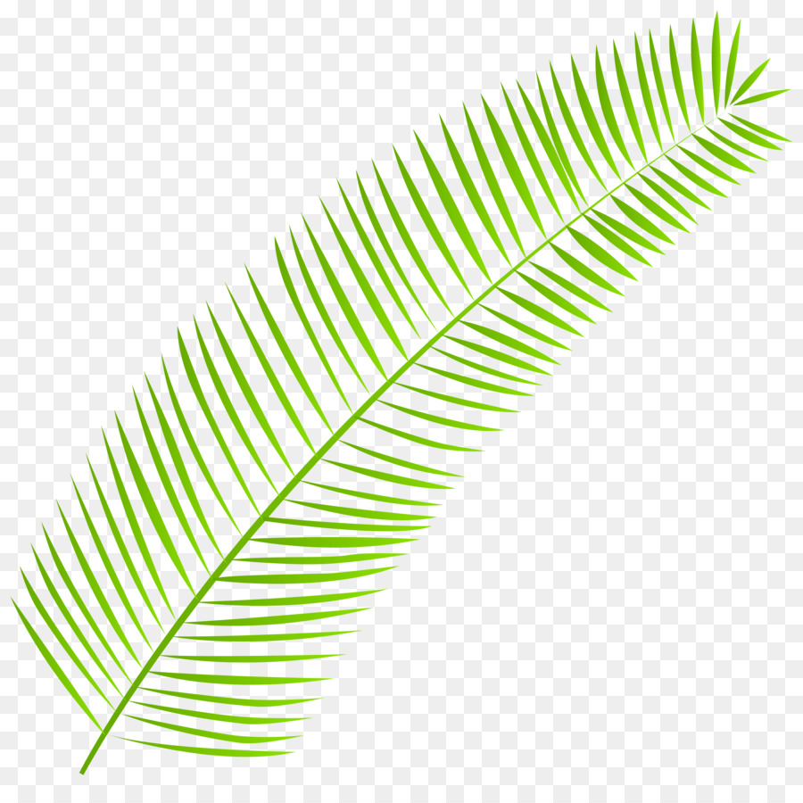 Palm branch Palm-leaf manuscript Clip art - Palm png download - 8000*7825 - Free Transparent Palm Branch png Download.