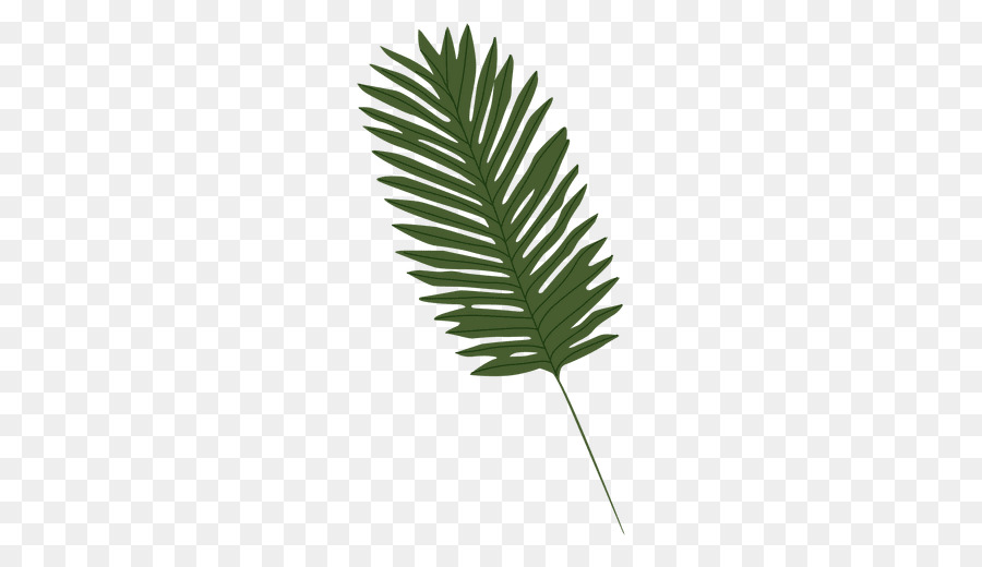 Leaf Arecaceae Computer Icons Clip art - palm leaves png download - 512*512 - Free Transparent Leaf png Download.