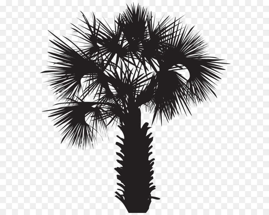 Arecaceae Silhouette Sunset - Palm Tree Silhouette Clip Art PNG Image png download - 7290*8000 - Free Transparent Arecaceae png Download.