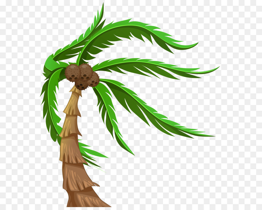 Arecaceae Clip art - Palm with Coconuts Transparent PNG Clip Art Image png download - 6412*7000 - Free Transparent Arecaceae png Download.