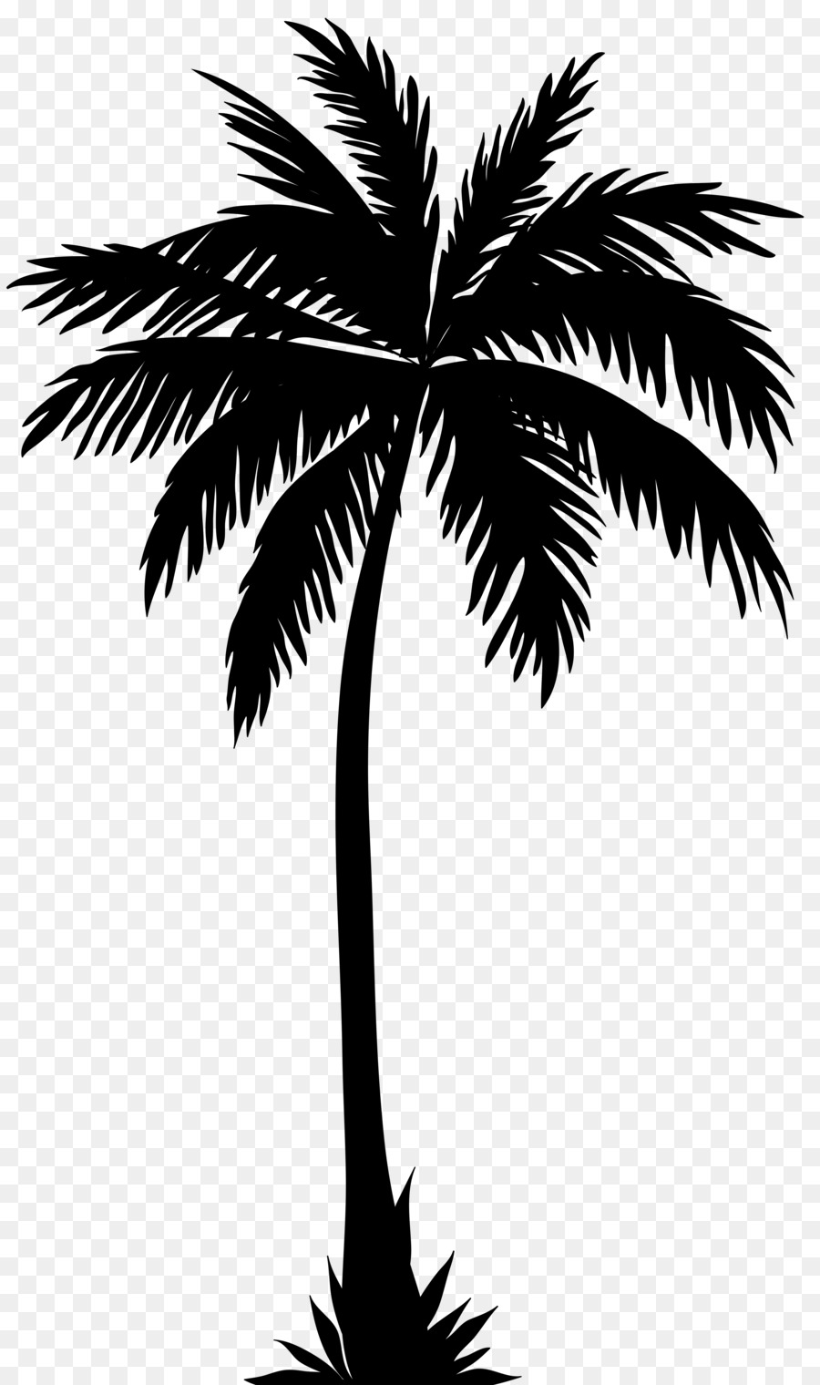 Arecaceae Silhouette Tree Clip art - coconut tree png download - 4738*8000 - Free Transparent Arecaceae png Download.