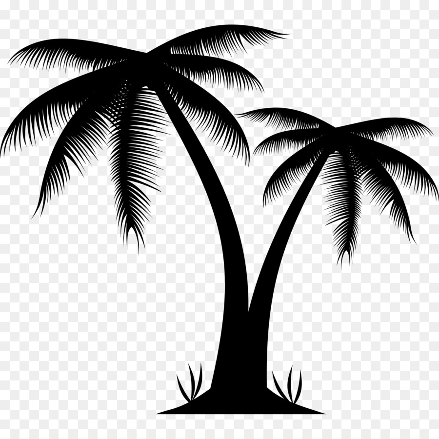 Arecaceae Tree Clip art - Palm beach png download - 2000*2000 - Free Transparent Arecaceae png Download.