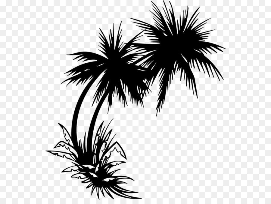 Clip art Palm trees Sticker Image - beach clip art black and white png sunset png download - 600*667 - Free Transparent Palm Trees png Download.