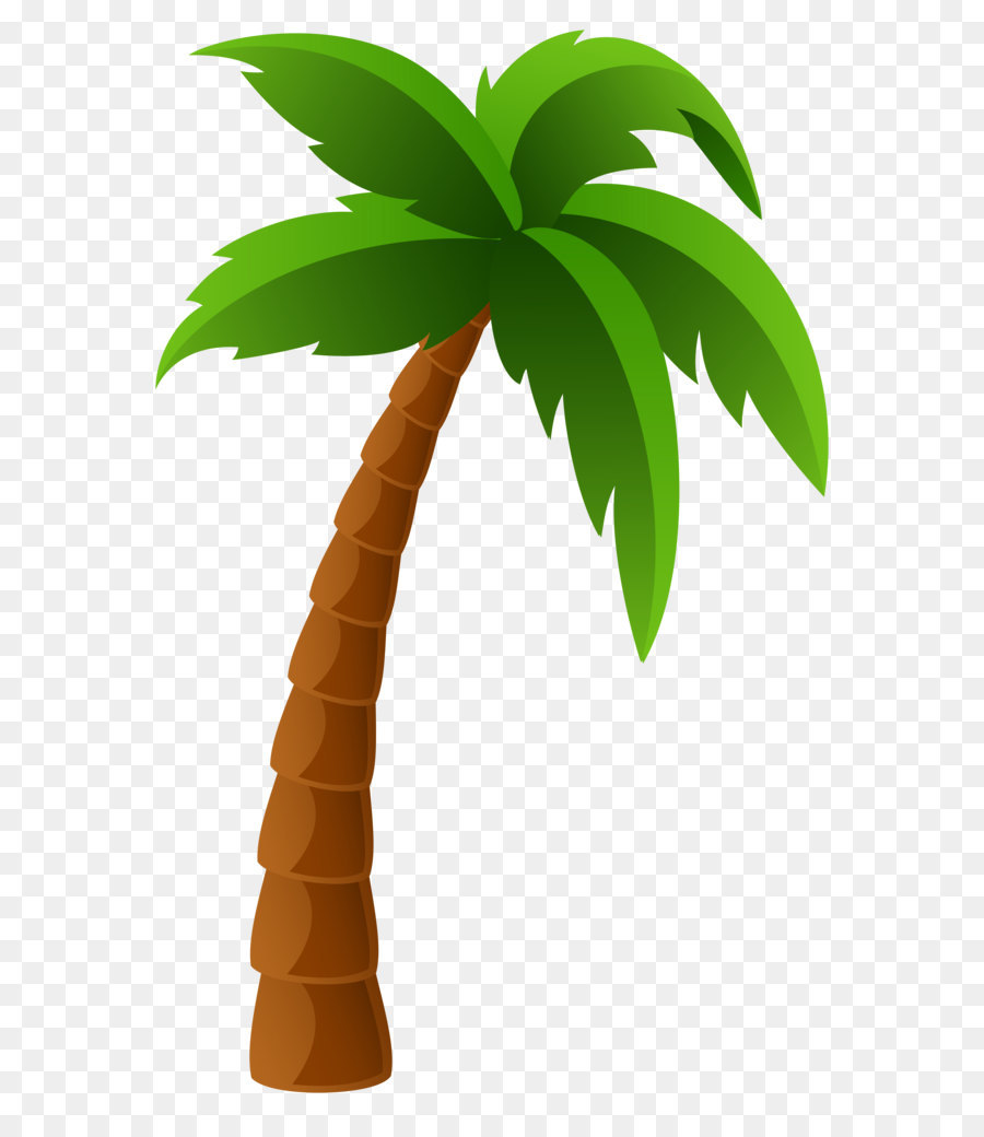 Washingtonia filifera Arecaceae Washingtonia robusta Clip art - Palm Tree PNG Image Clipart png download - 6139*9697 - Free Transparent Washingtonia Robusta png Download.