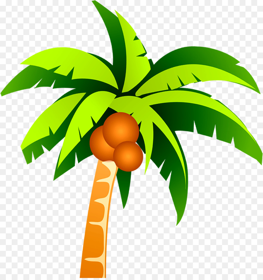 Coconut Tree Clip art - Coconut tree vector material png png download - 2946*3119 - Free Transparent Coconut png Download.
