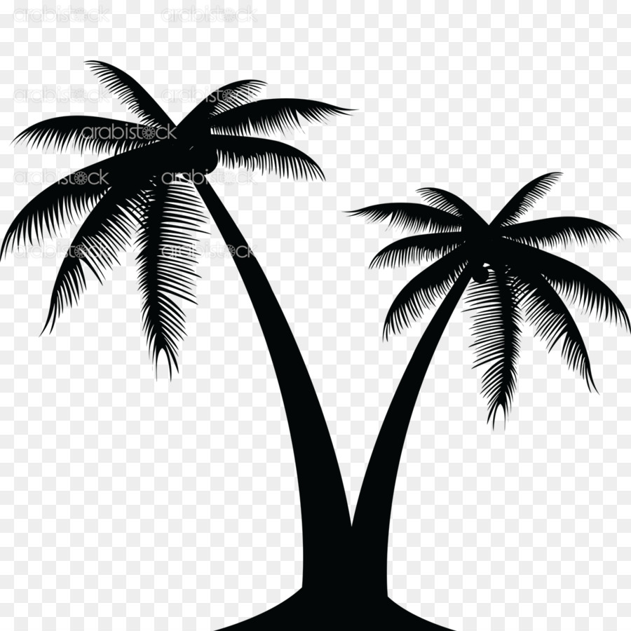 Coconut Vector graphics Clip art Portable Network Graphics Palm trees - coconut png download - 1181*1181 - Free Transparent Coconut png Download.
