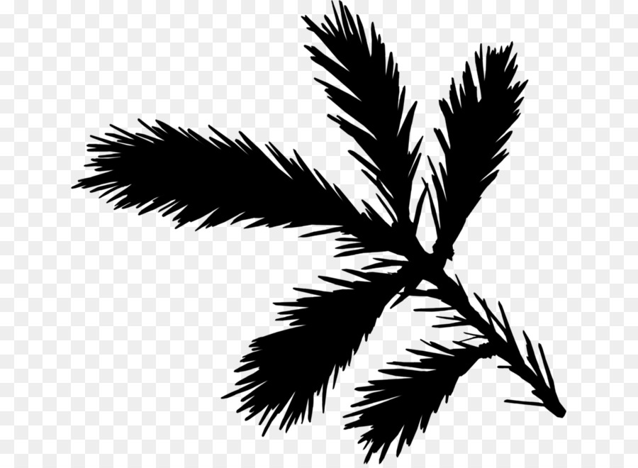 Palm trees Black & White - M Silhouette Leaf -  png download - 699*655 - Free Transparent Palm Trees png Download.
