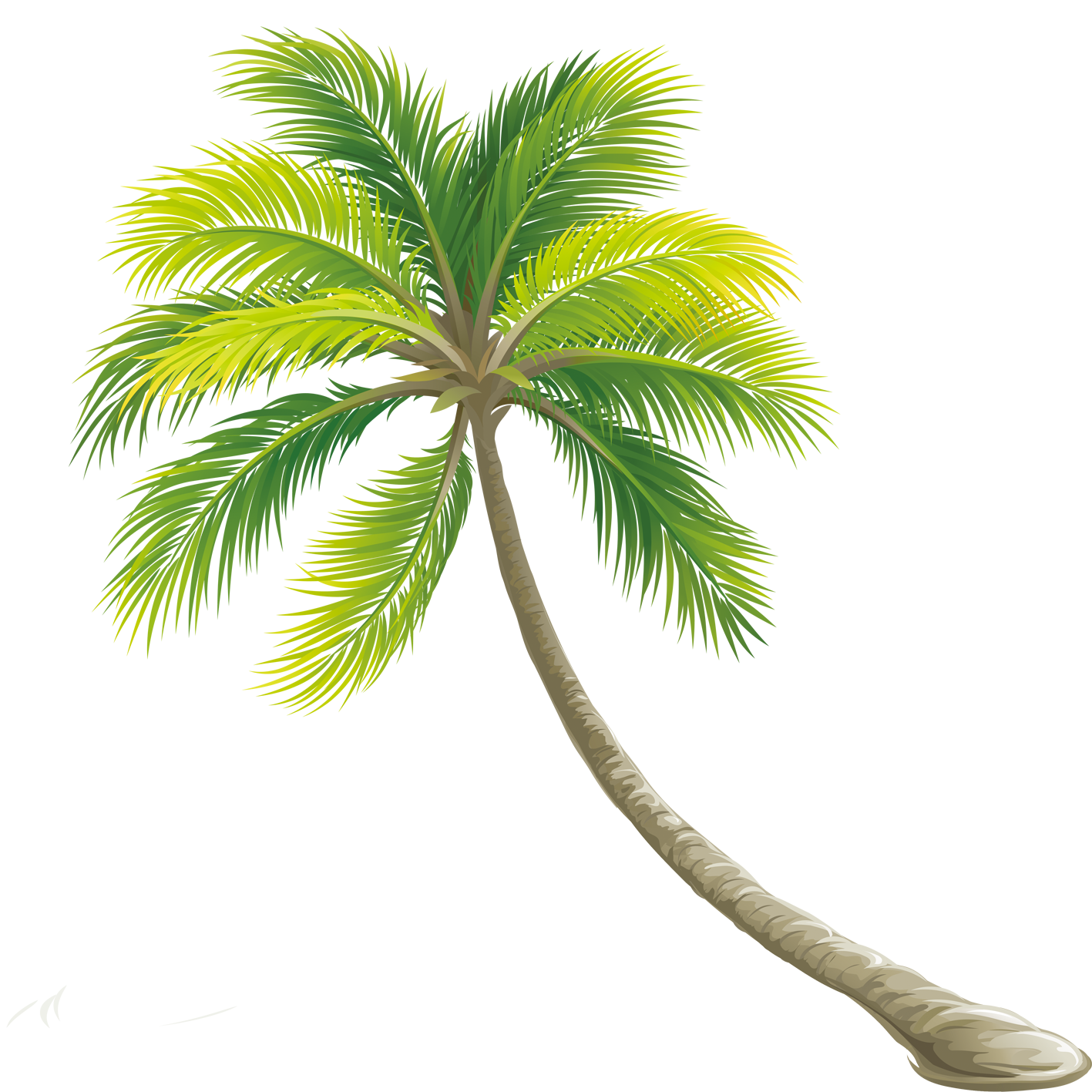 California Palm Tree Png Png Image Collection 