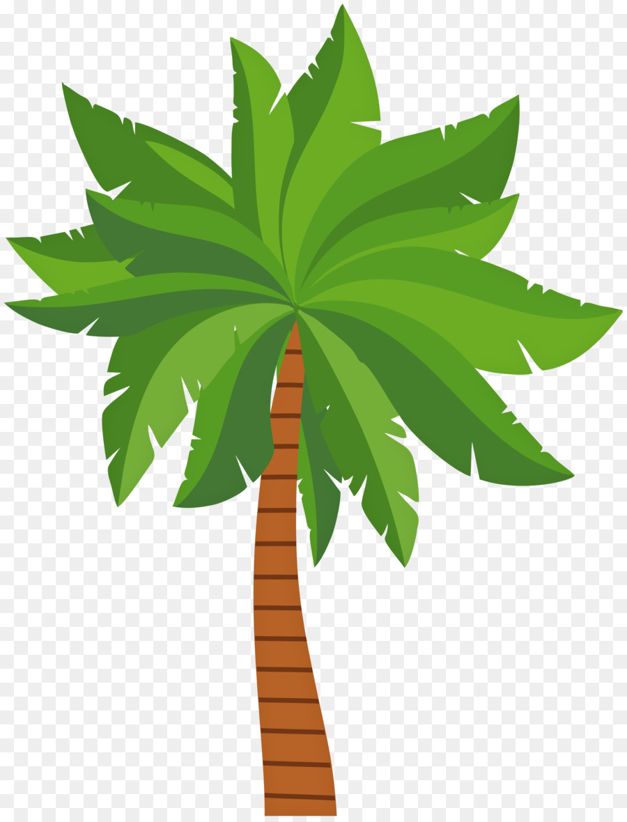Palm trees Clip art Portable Network Graphics Image Hyophorbe lagenicaulis - palm tree png png download - 6117*8000 - Free Transparent Palm Trees png Download.