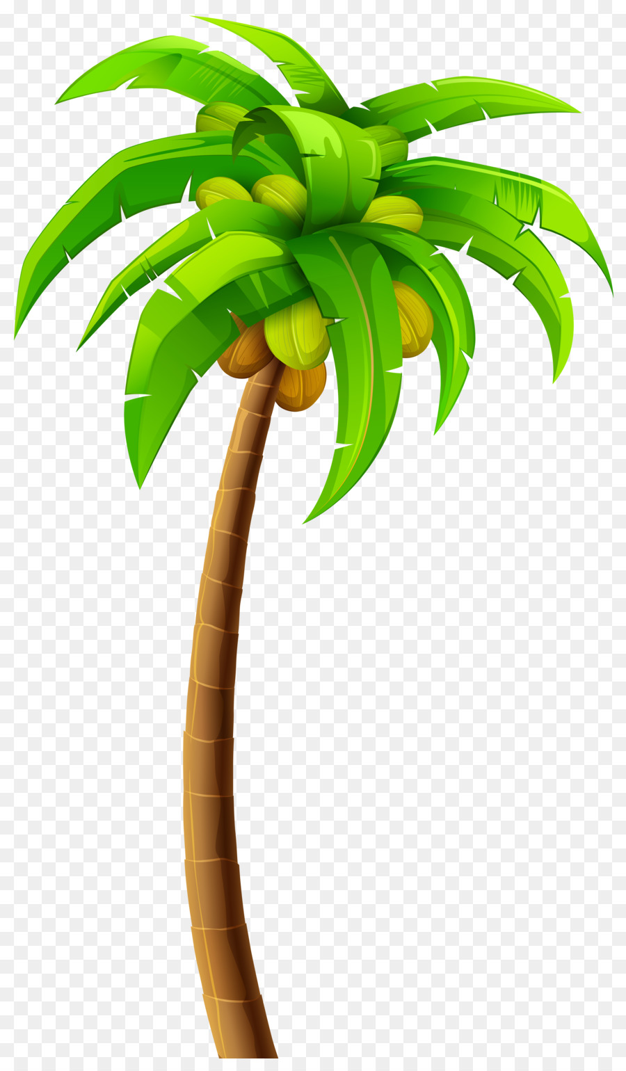 Tree Arecaceae Clip art - palm tree png download - 4730*8000 - Free Transparent Tree png Download.