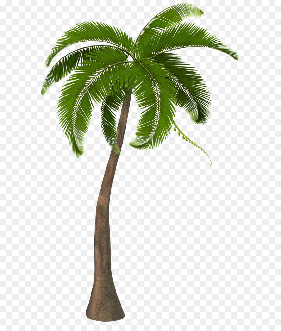 Arecaceae Clip art - Beautiful Palm Tree PNG Clipart Image png download - 2497*4000 - Free Transparent Ghetto Wave png Download.