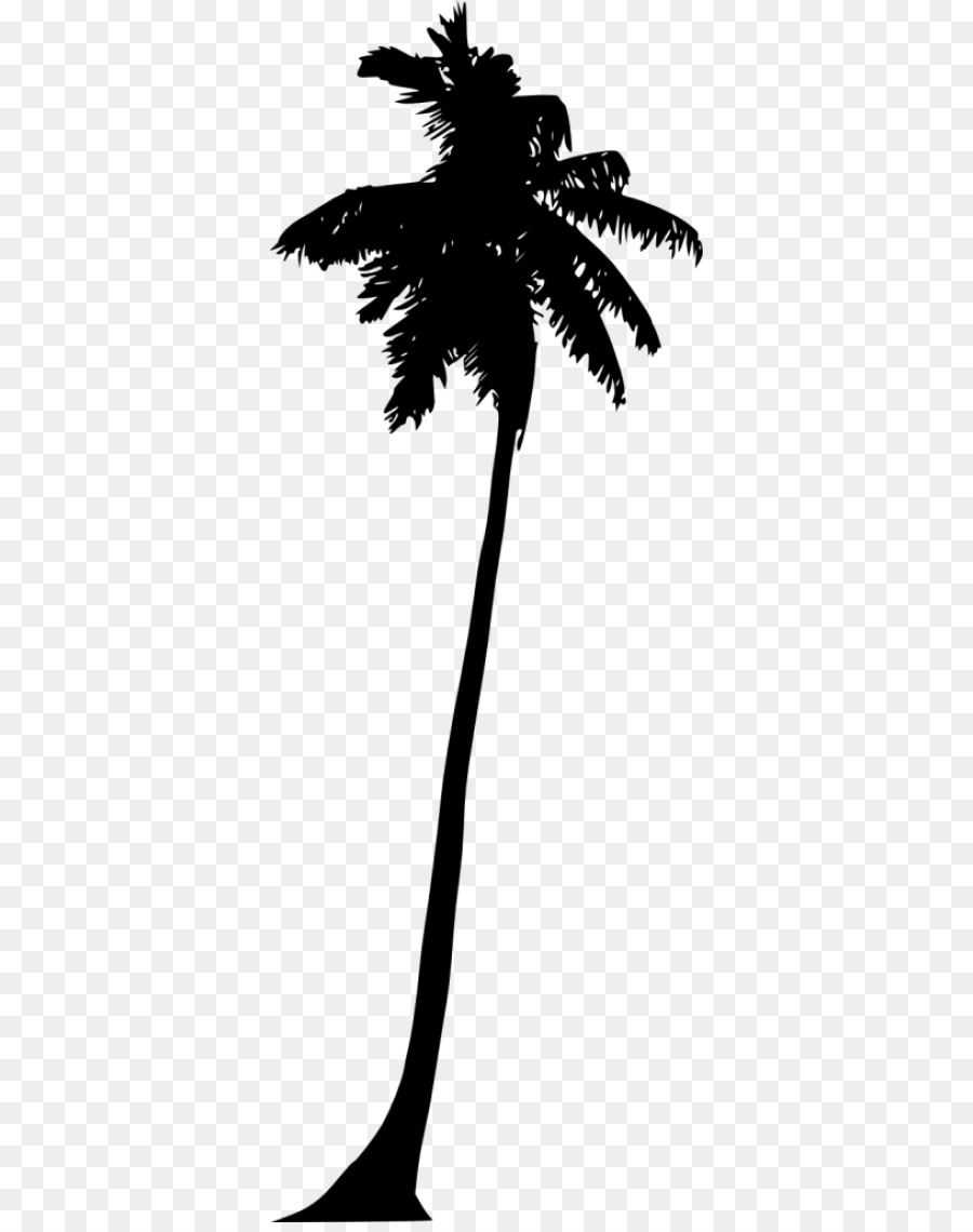 Asian palmyra palm Silhouette Portable Network Graphics Clip art Image - palm tree png file png download - 400*1131 - Free Transparent Asian Palmyra Palm png Download.
