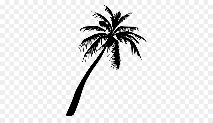 Arecaceae Silhouette - palm tree png download - 512*512 - Free Transparent Arecaceae png Download.