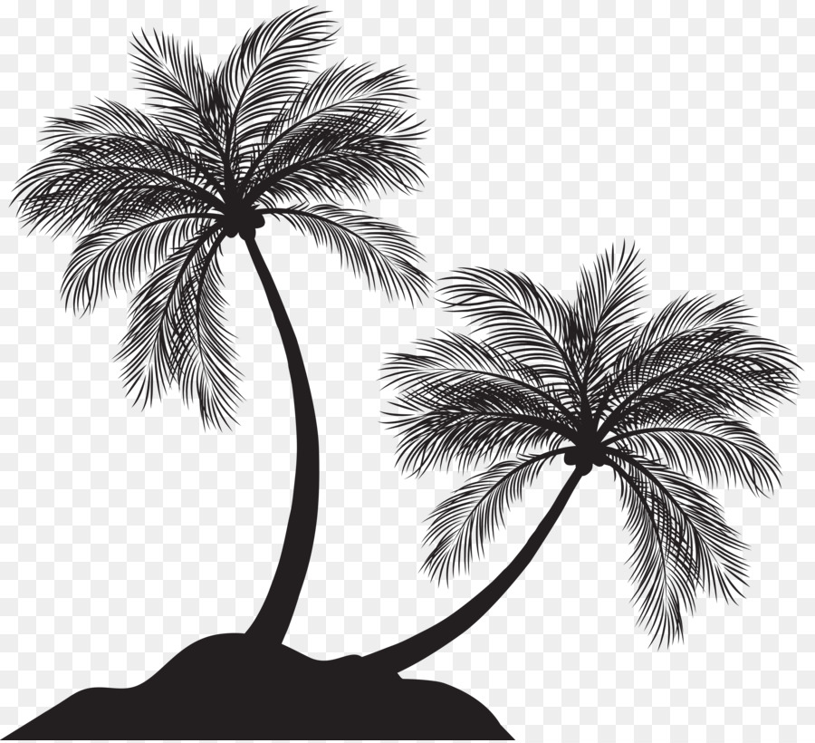 Arecaceae Tree Silhouette - palm trees png download - 8000*7261 - Free Transparent Arecaceae png Download.