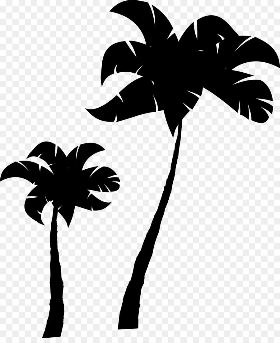 Palm trees Clip art Sticker Portable Network Graphics Branch -  png download - 1990*2400 - Free Transparent Palm Trees png Download.