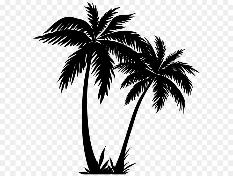 Free Palm Tree Silhouette Transparent Background, Download Free Palm