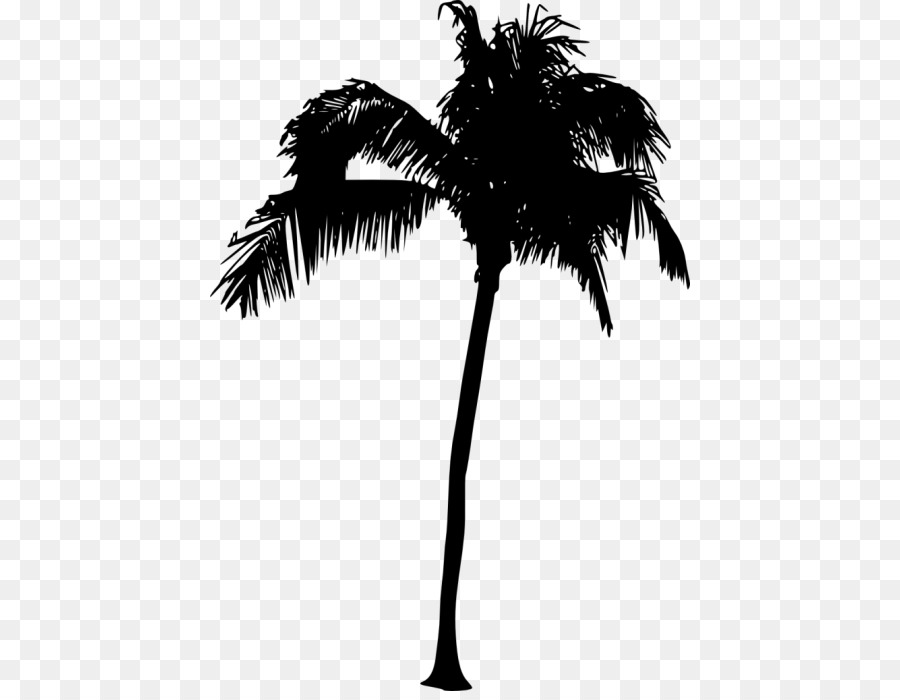 Asian palmyra palm Arecaceae Silhouette Sabal Palm Tree - Silhouette png download - 480*691 - Free Transparent Asian Palmyra Palm png Download.