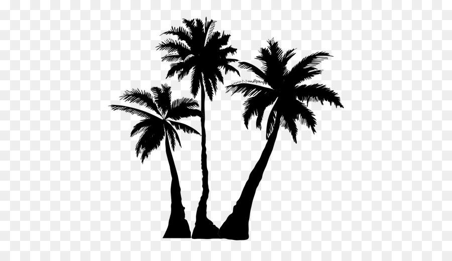 Palm trees Portable Network Graphics Clip art Silhouette Vector graphics - palmier png download - 512*512 - Free Transparent Palm Trees png Download.