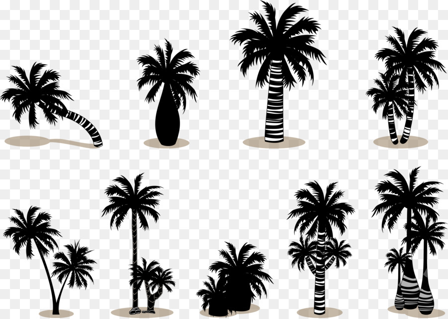 Arecaceae Silhouette Scalable Vector Graphics - Coconut palm tree silhouette vector png download - 8358*5927 - Free Transparent Arecaceae png Download.
