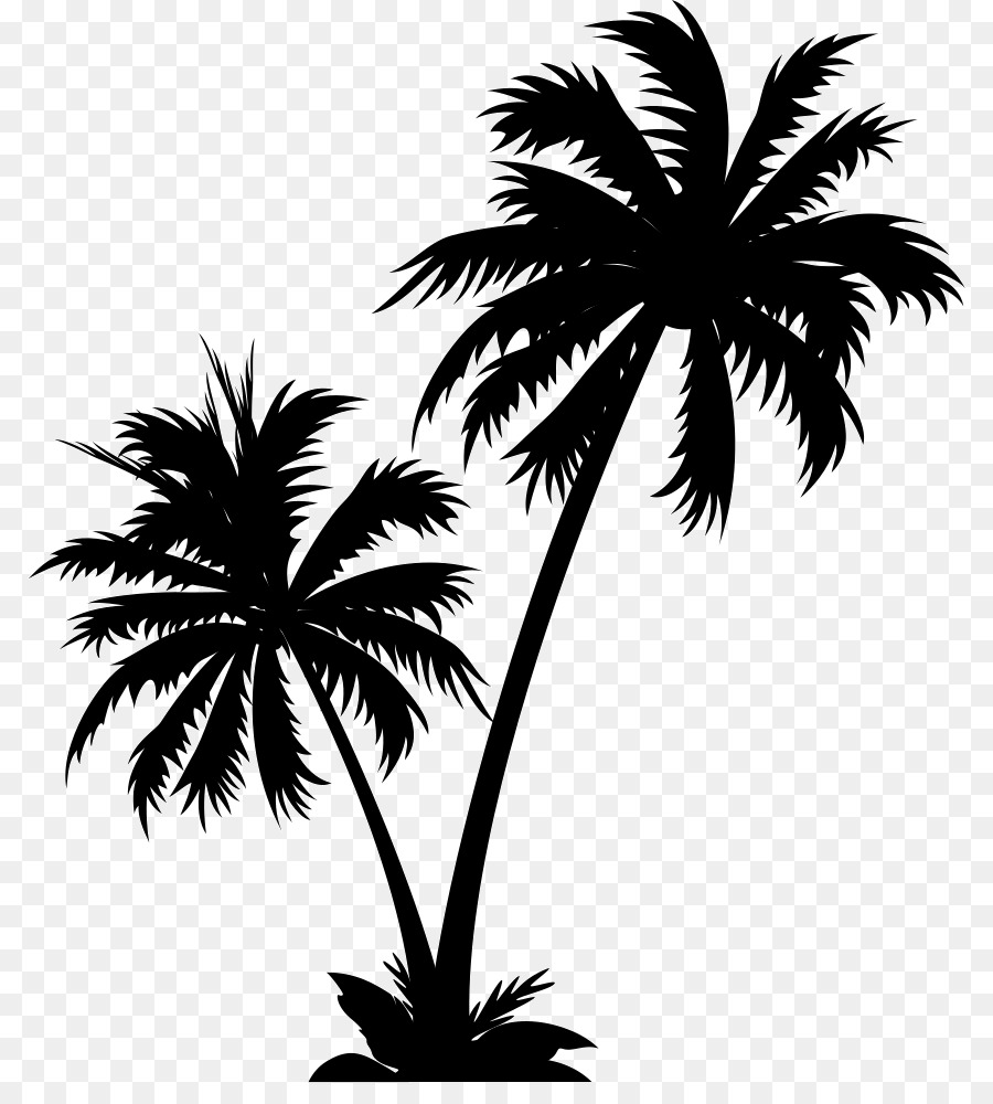 Vector graphics Palm trees Clip art Illustration Royalty-free - cameo pulau png download - 850*981 - Free Transparent Palm Trees png Download.